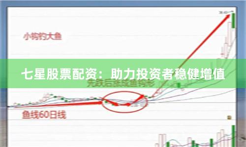 七星股票配资：助力投资者稳健增值