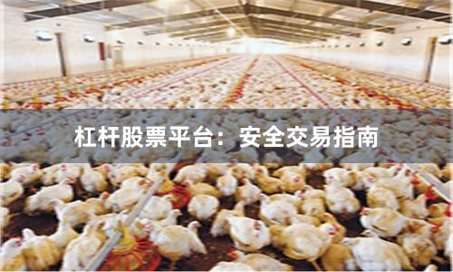 杠杆股票平台：安全交易指南